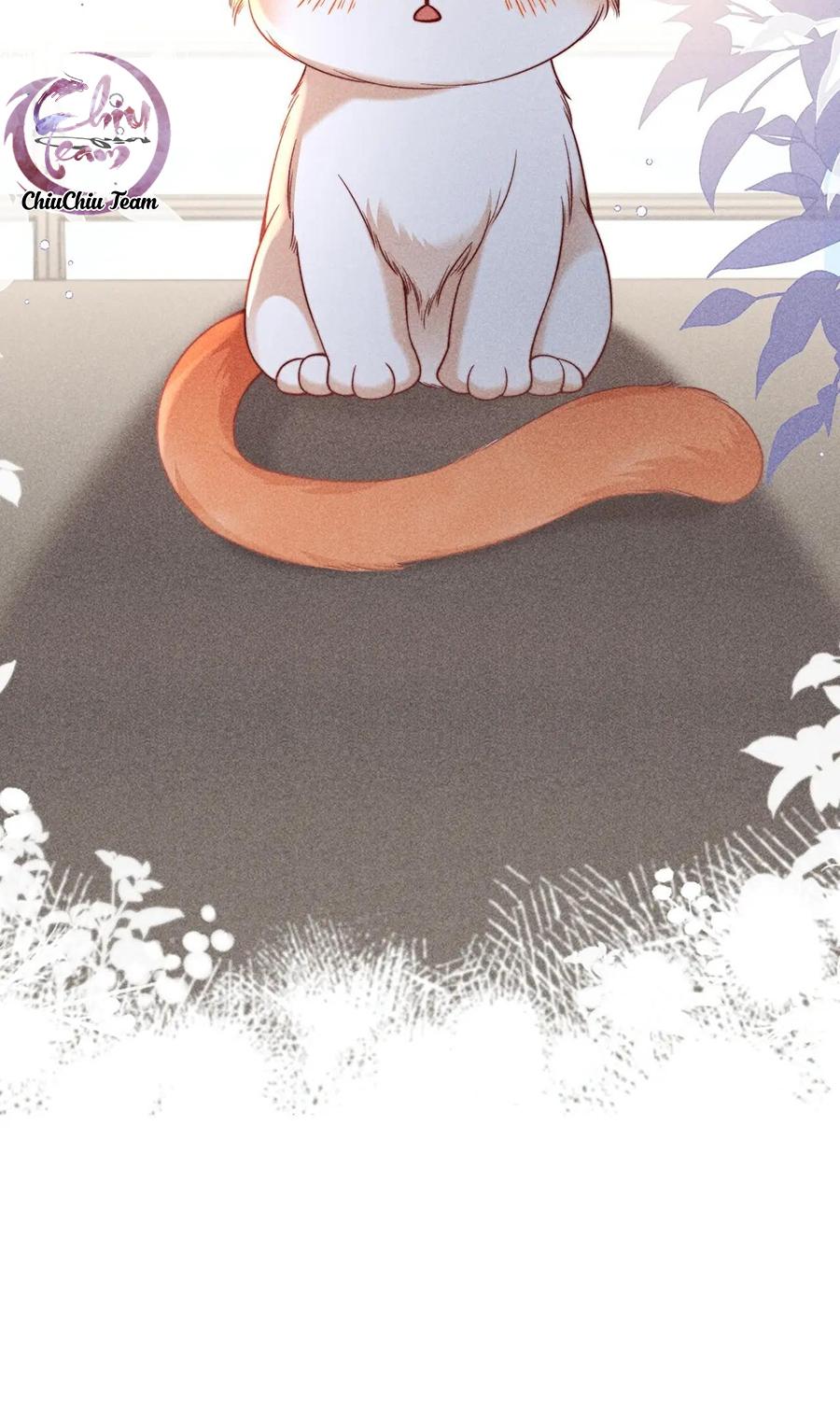Nuông Chiều Sinh Hư Chapter 43 - Next 