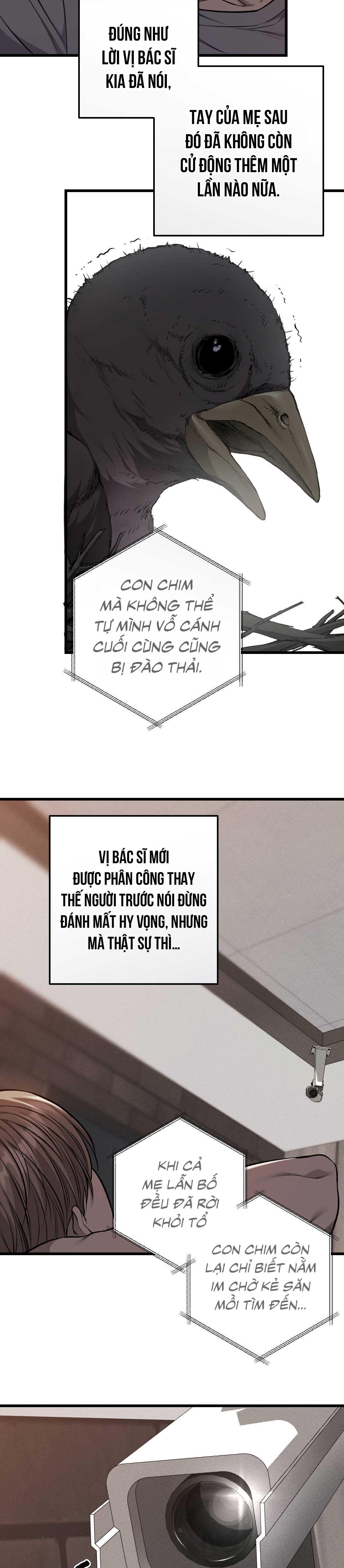 XX ĐÊ TIỆN Chapter 61 - Next Chapter 62