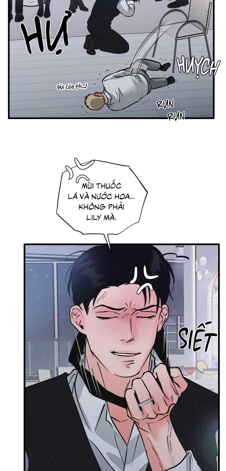 CẶP ĐÔI HOÀN HẢO Chapter 50 - Next Chapter 51