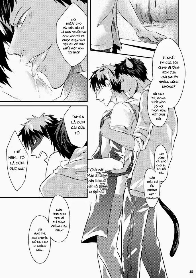 Oneshot hỏny Chapter 423 - Next Chapter 424