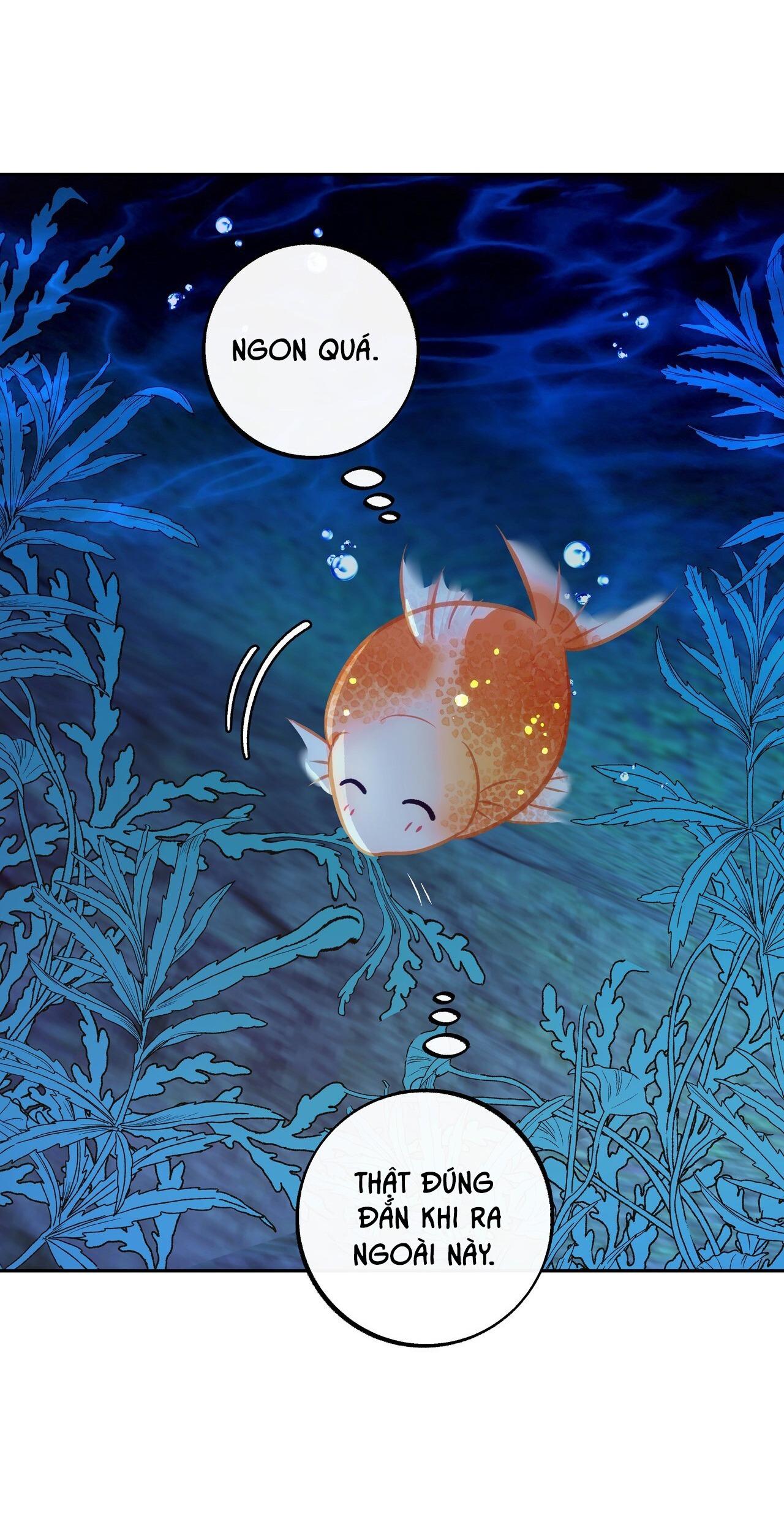 ORCA MANSION Chapter 1 - Trang 2