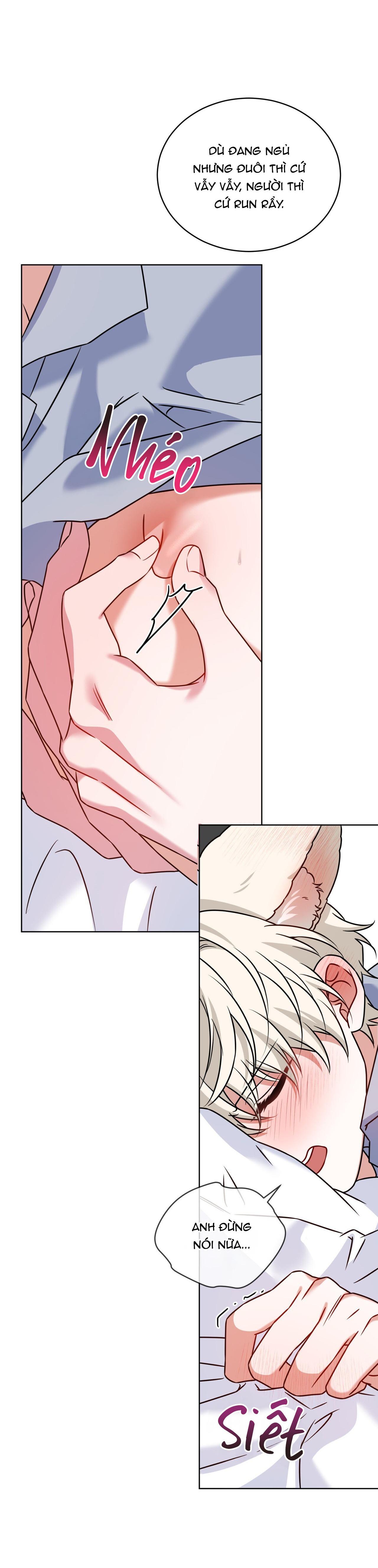 NƯỚC UỐNG TÌNH YÊU CỦA CÁO PLIN Chapter 49 - Next 