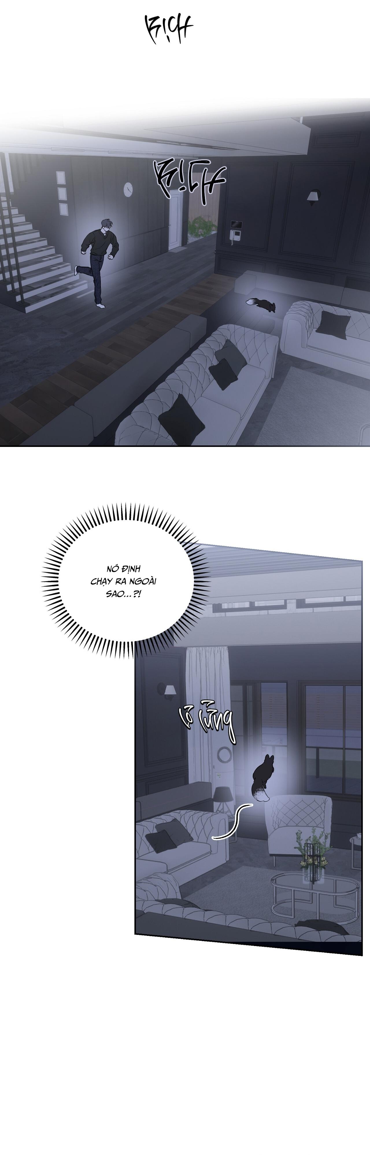 (GĐCV) ÁNH NẮNG LEN LỎI Chapter 1 - Next Chapter 2