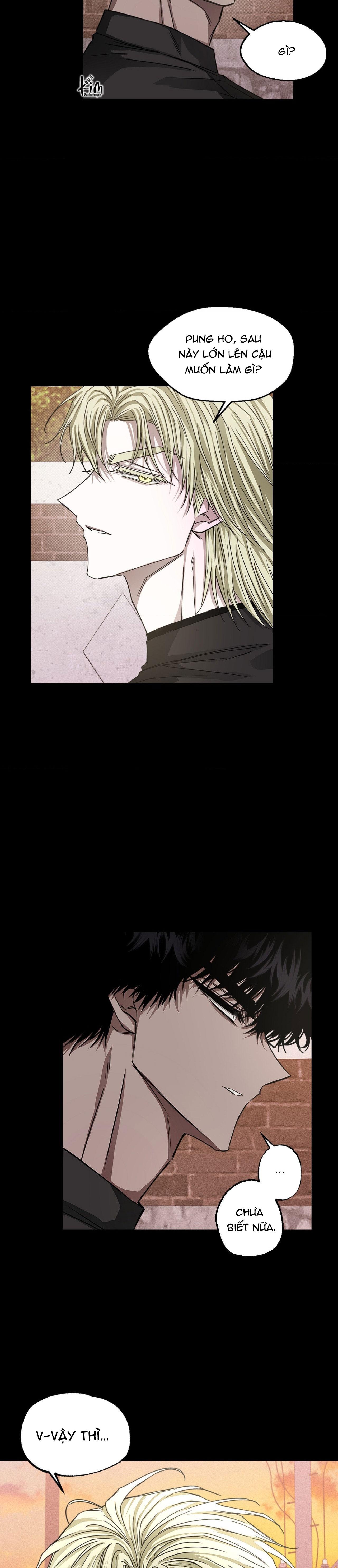 MẮT BÃO Chapter 12 - Next 