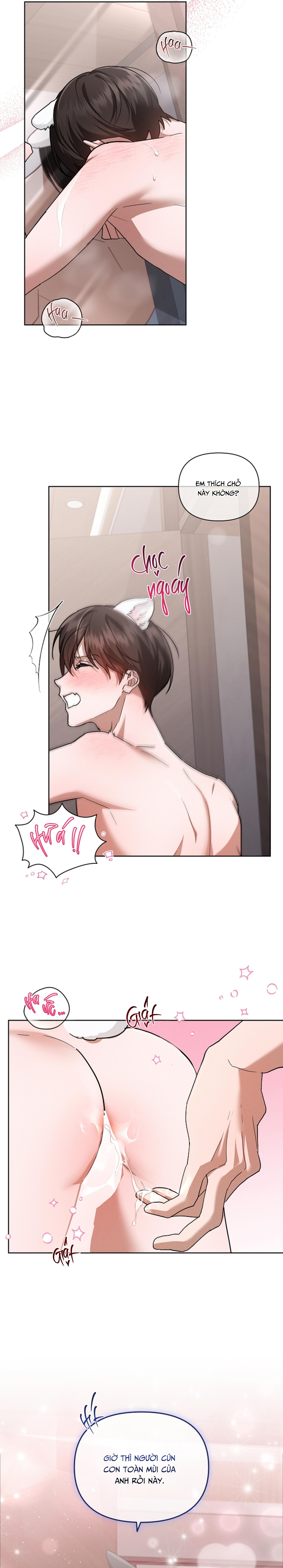 ĐỪNG CHẠM VÀO CÚN CON CỦA TÔI Chapter 48 NT4 - Next 