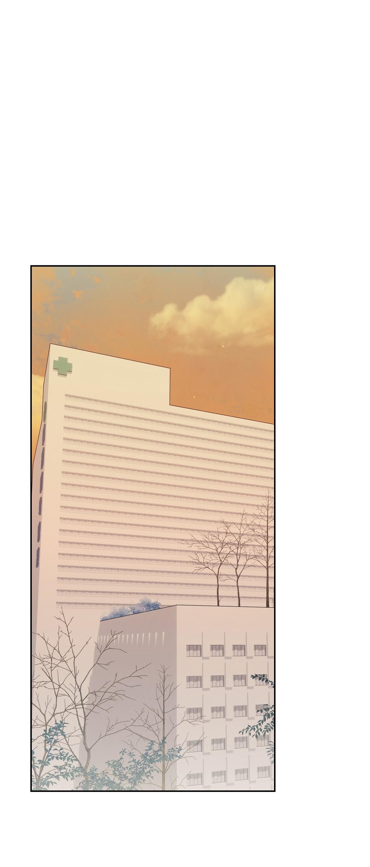 ÁNH NẮNG LEN LỎI Chapter 4 - Next 
