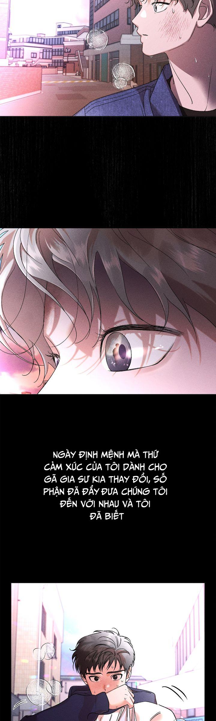 Người Yêu Của Anh Trai Tôi Chapter 37 - Next 