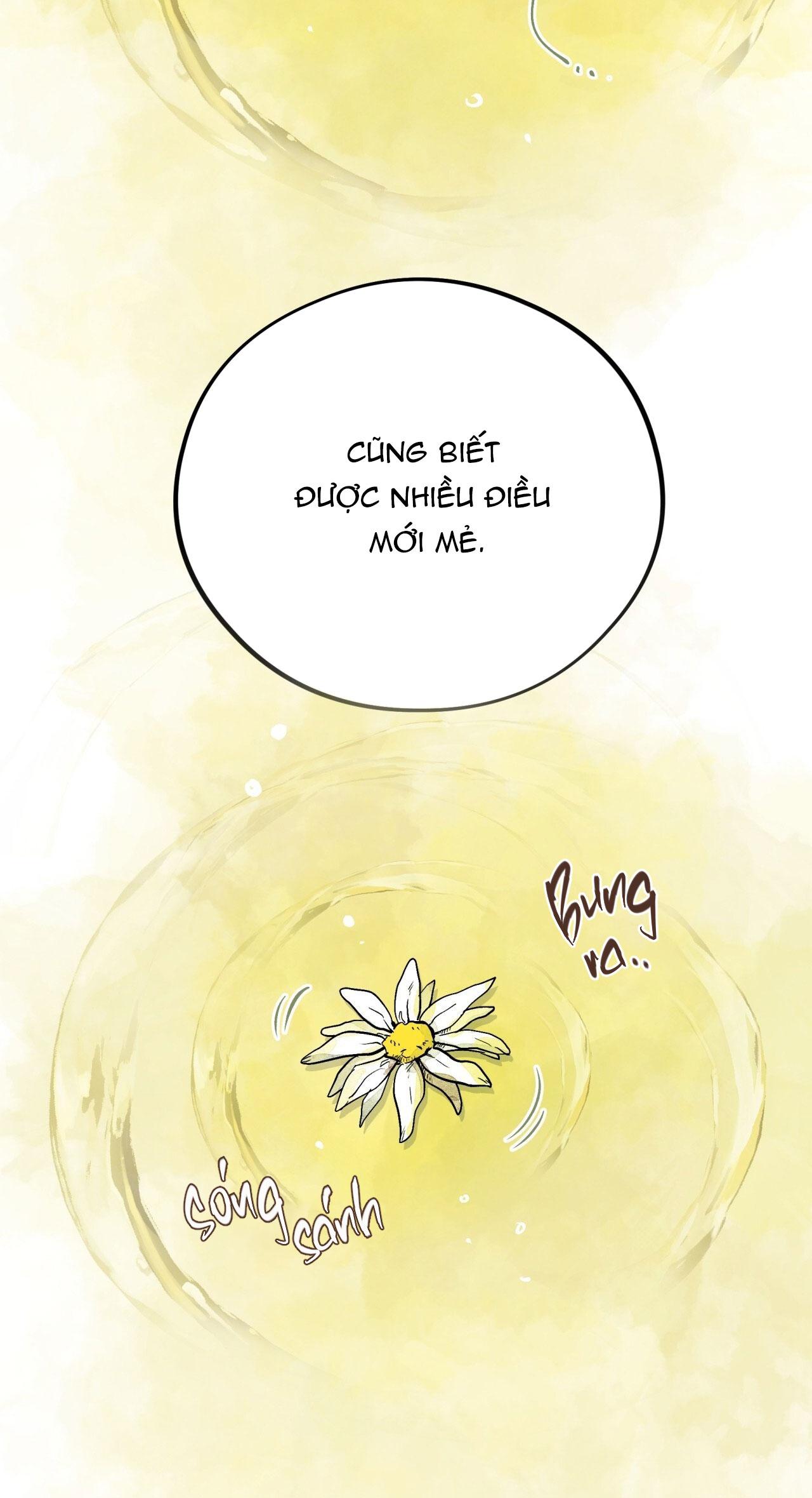 HONEY BEAR Chapter 68 - Next Chapter 69