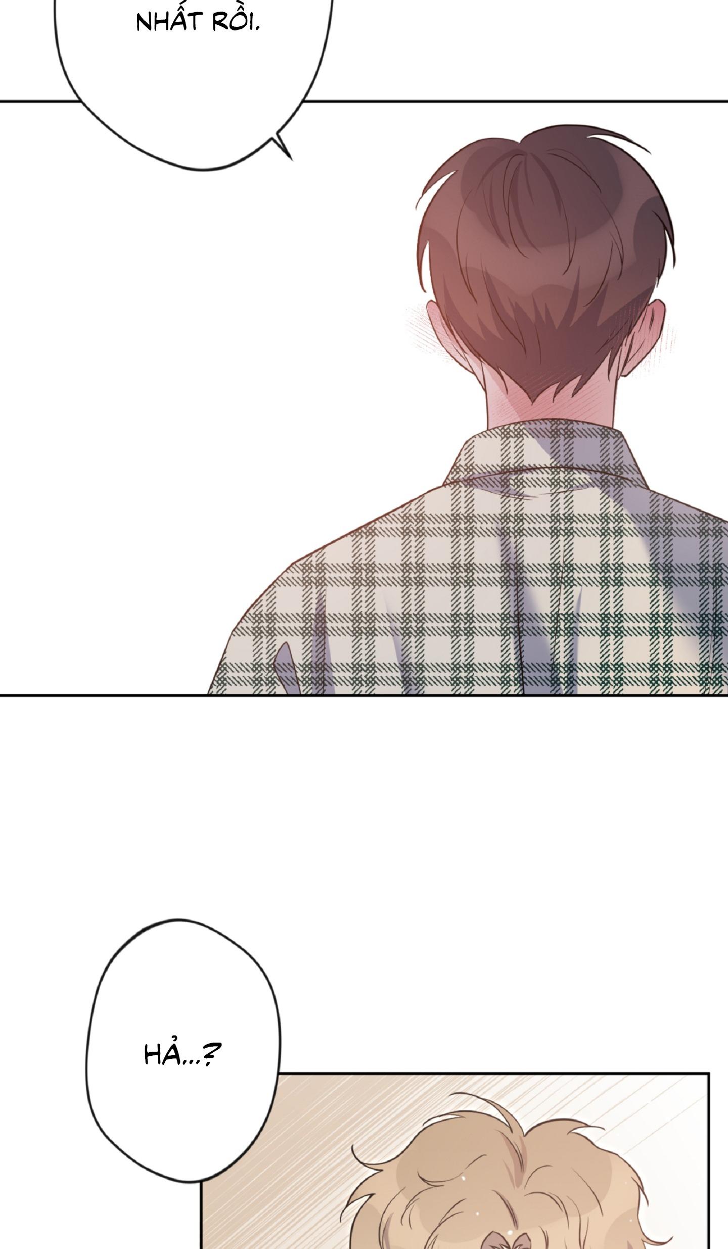 Angel kiss Chapter 19 - Next 