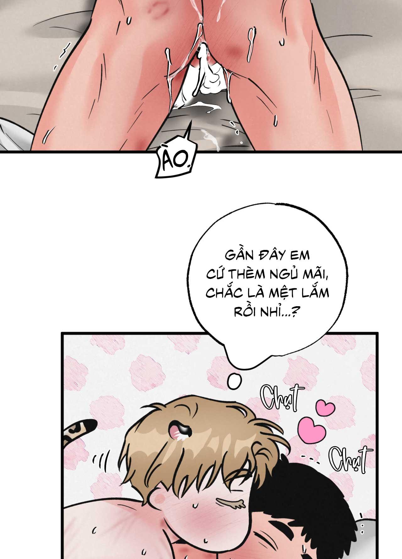 CẶP ĐÔI HOÀN HẢO Chapter 48 - Next Chapter 49