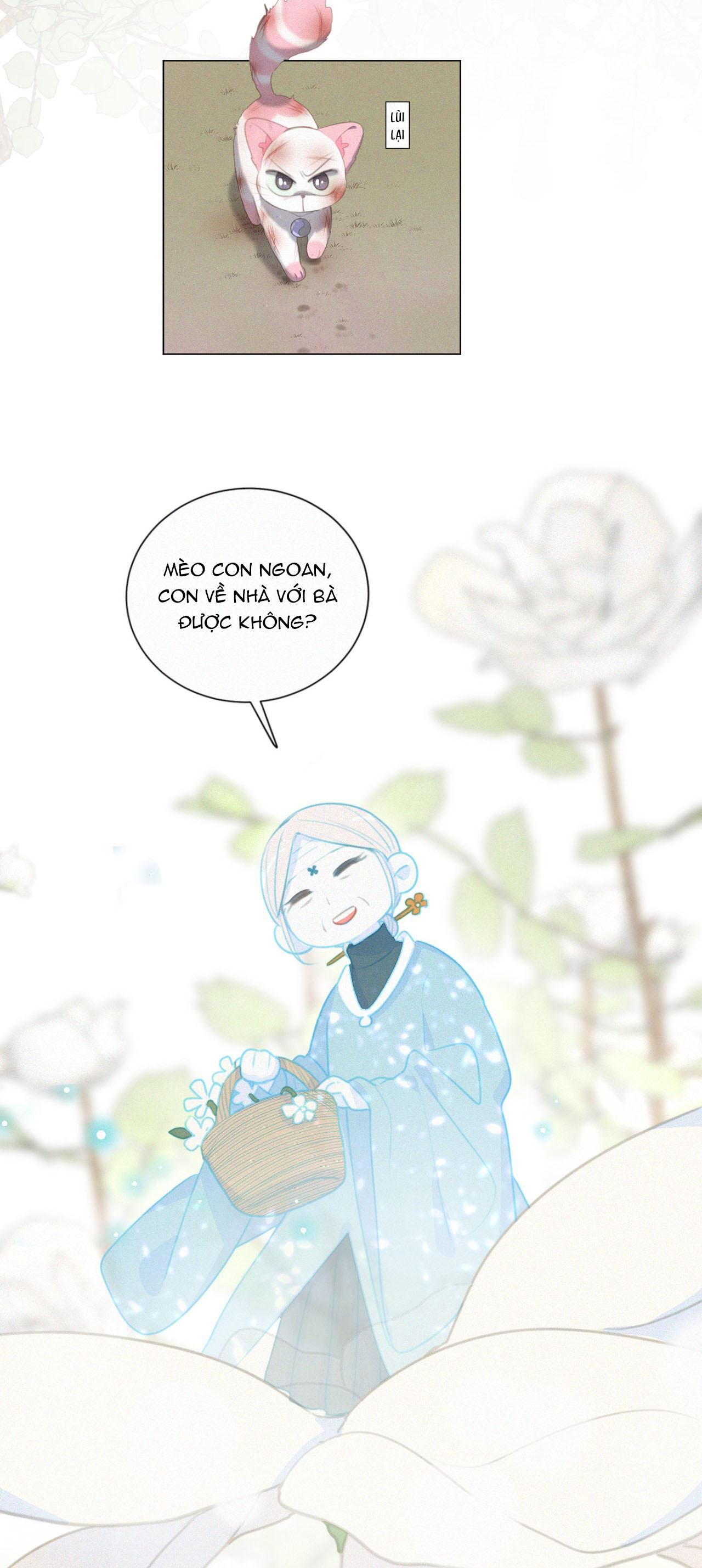 Xã Hội Mồn Lèo Chapter 84 - Next Chapter 85