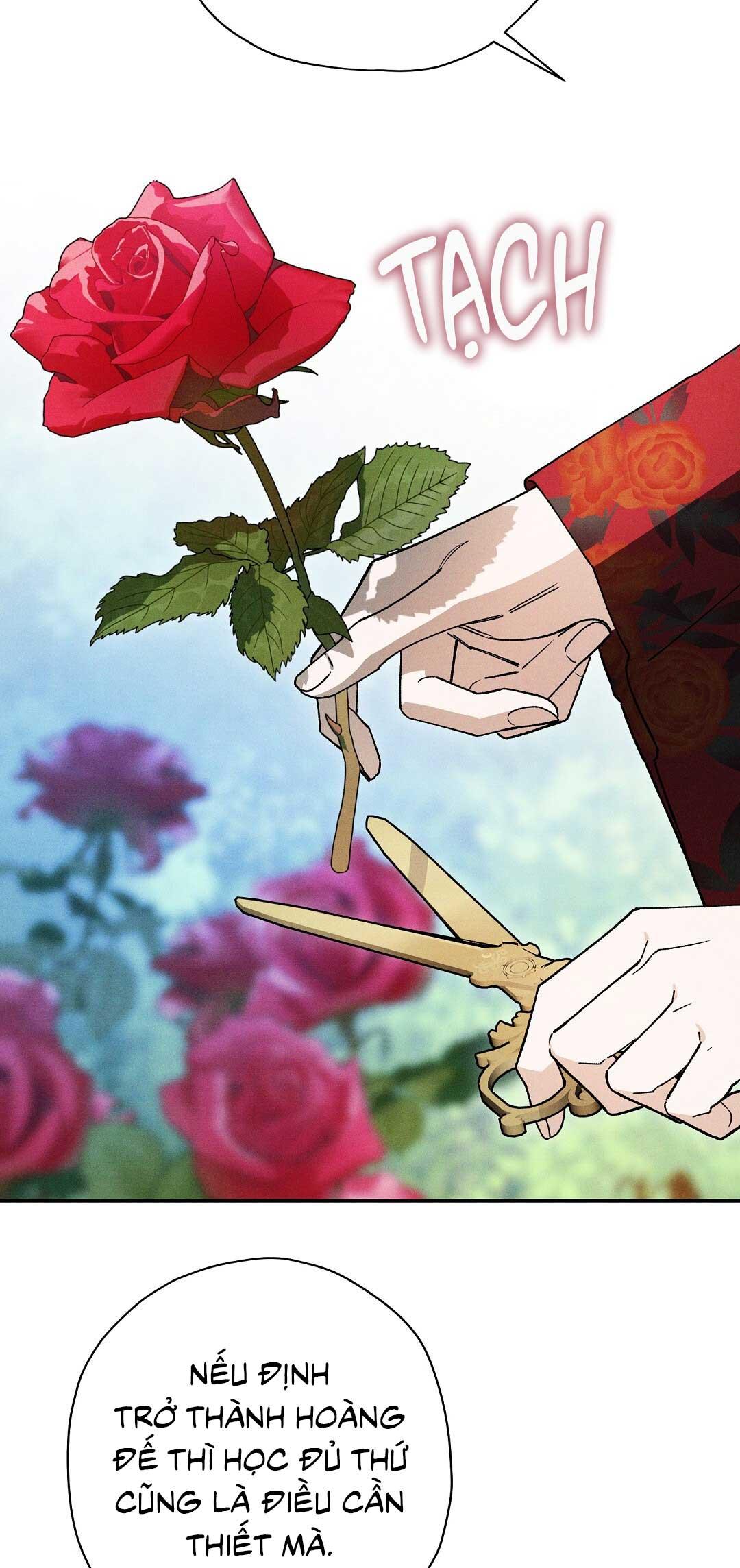 HOÀNG TỬ HƯ HỎNG CHE GIẤU MÌNH LÀ OMEGA Chapter 81 - Next 