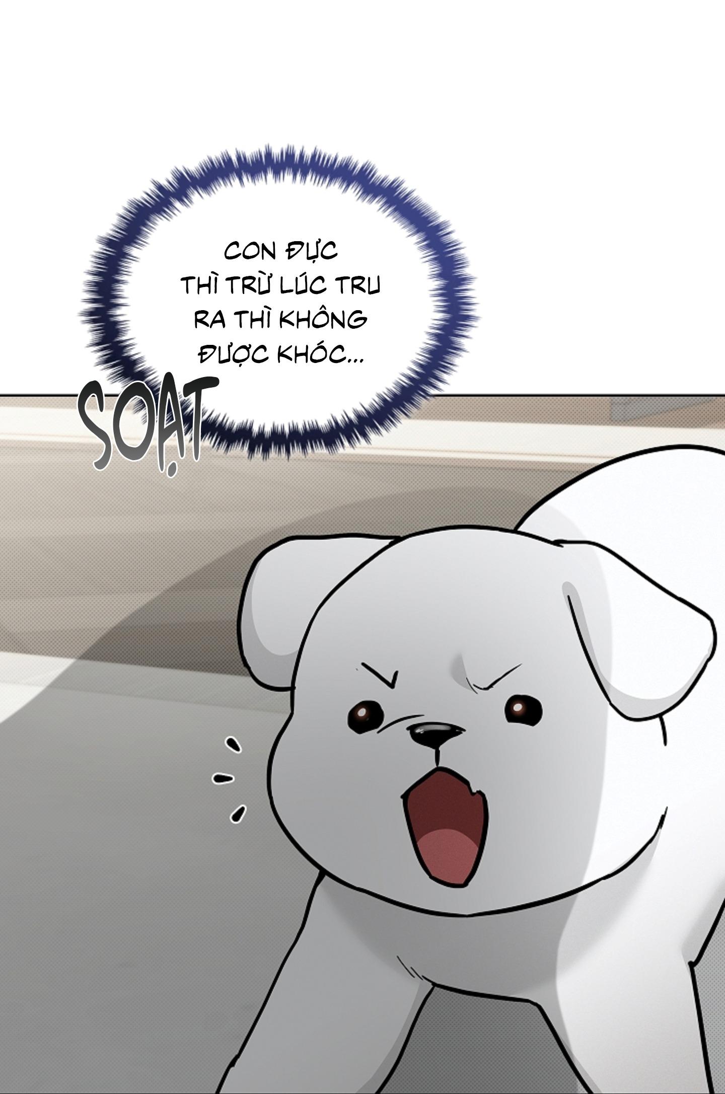ĐỪNG ĐỘNG VÀO CÚN CON! Chapter 44.03 H - Next 