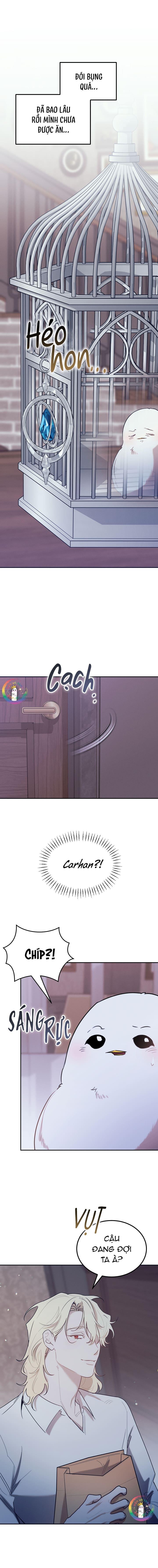 Này, Đừng Có Nhấn Cái Nút Đó! Chapter 51 - Next 
