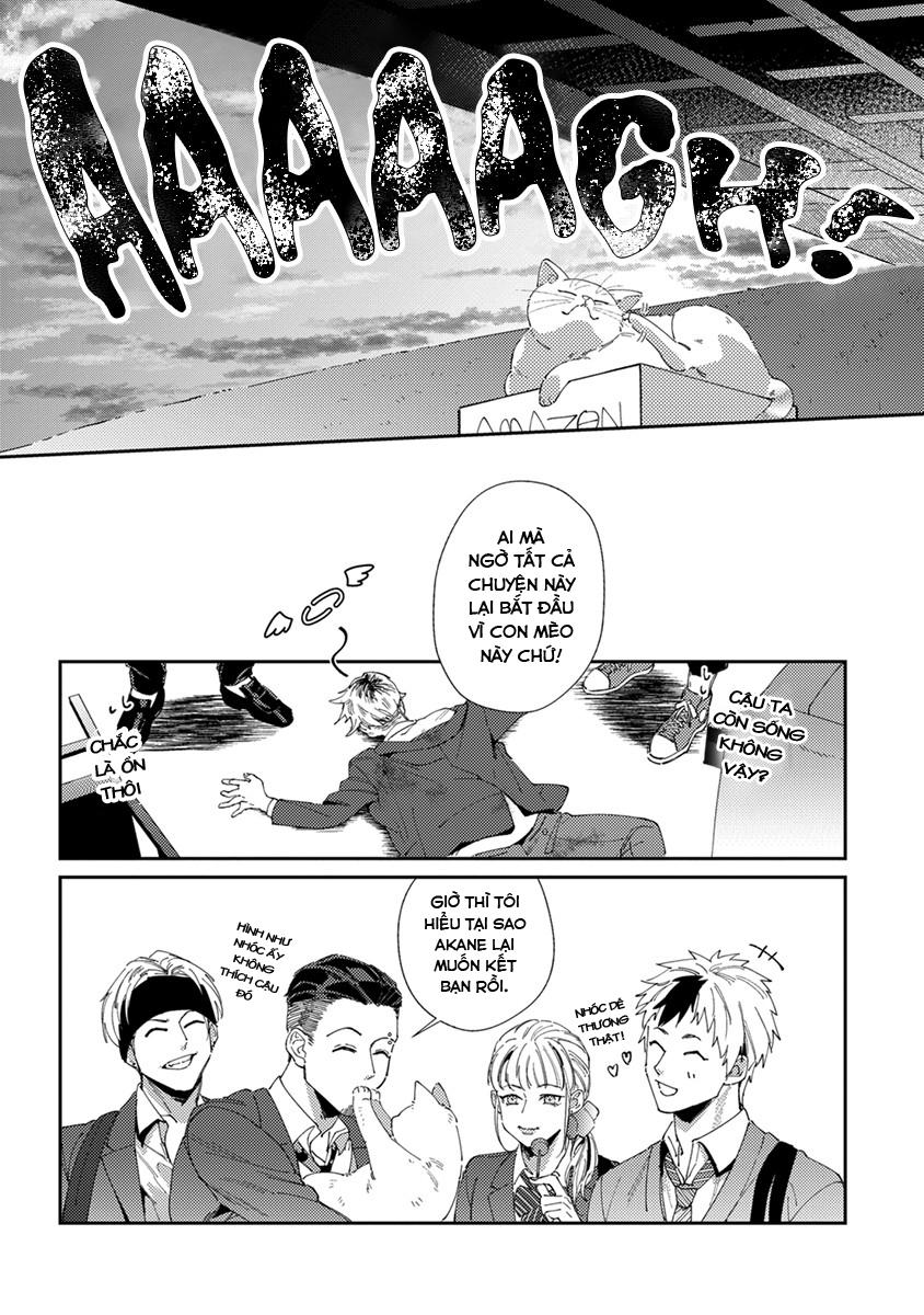 Chuyện Về Cặp Đôi Nhà Shima-chan Chapter 5 - Next 
