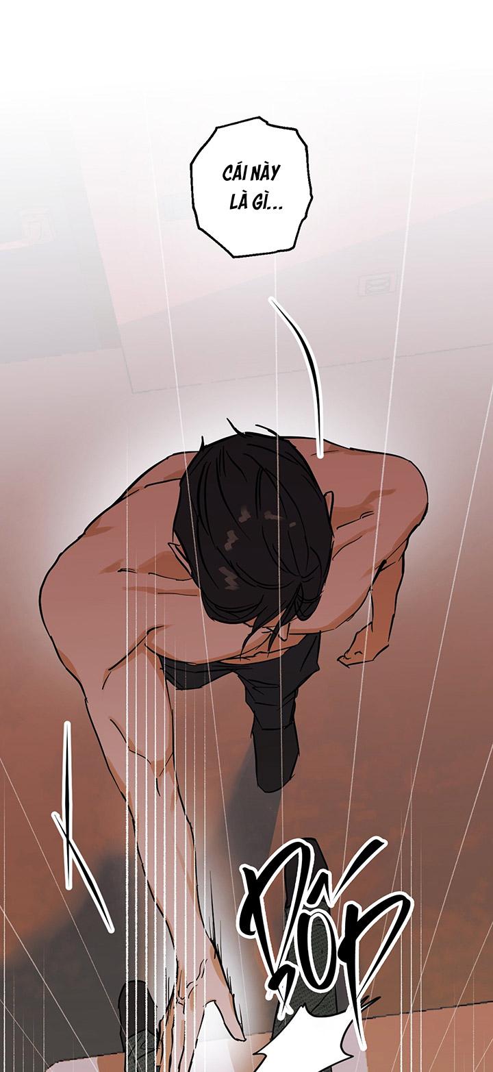 [DDT] Phiên Bản Hoàn Hảo Chapter 1 19+ - Next Chapter 2 19+