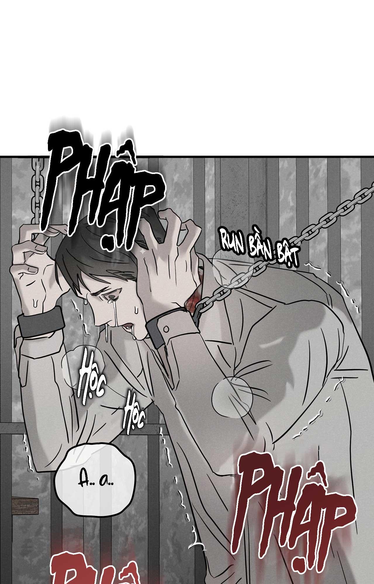 FIETA Chapter 23 - Next 