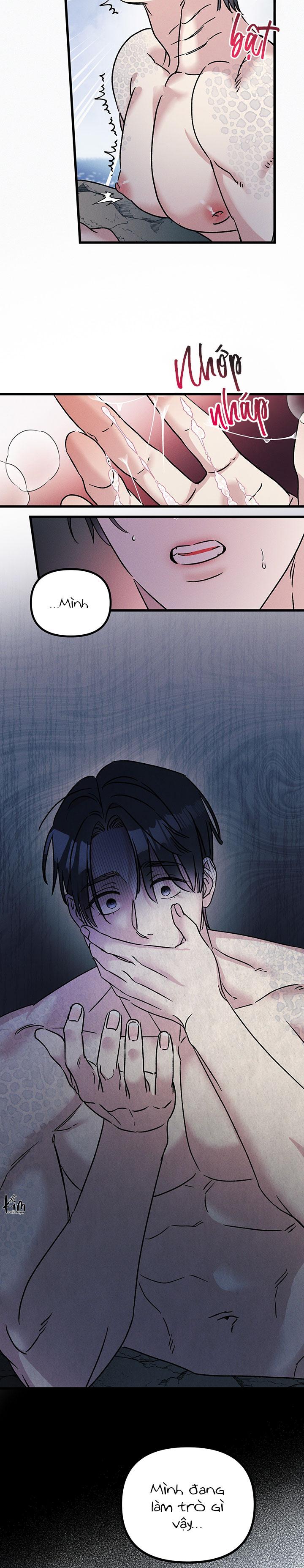 Mermaid's Cradle Chapter 5 - Next 