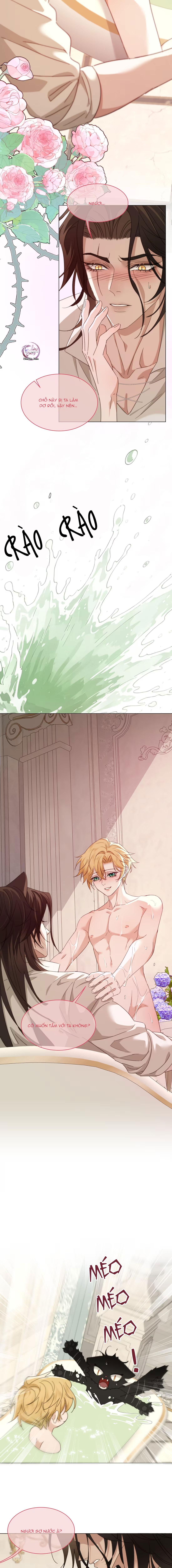 Báo Đen Chiếm Đoạt Hoàng Tử Yếu Đuối Chapter 12 - Next Chapter 13