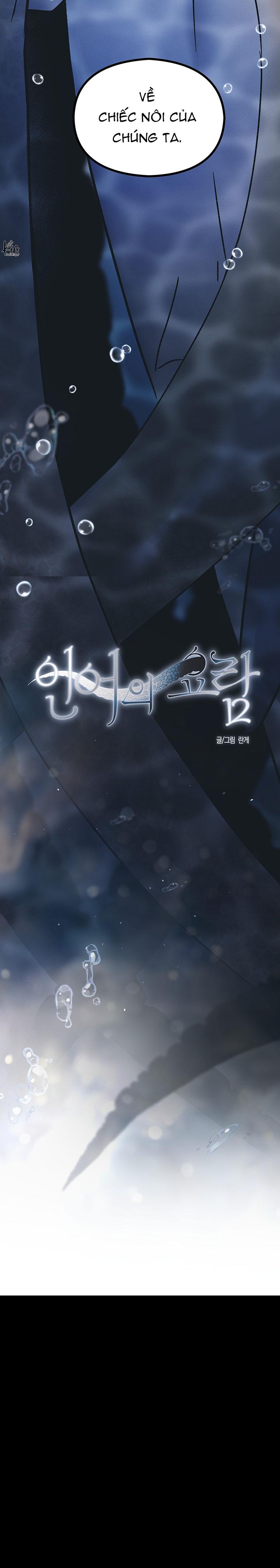 Mermaid's Cradle Chapter 1 - Next 
