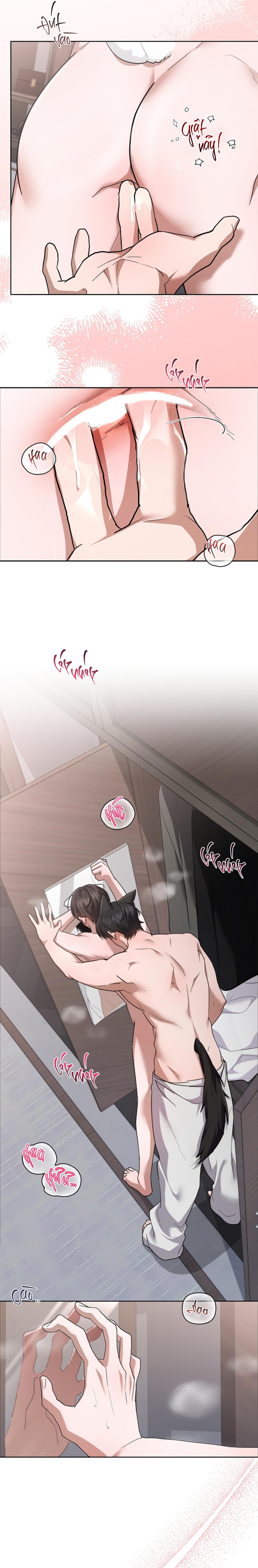ĐỪNG CHẠM VÀO CÚN CON CỦA TÔI Chapter 48 NT4 - Next 