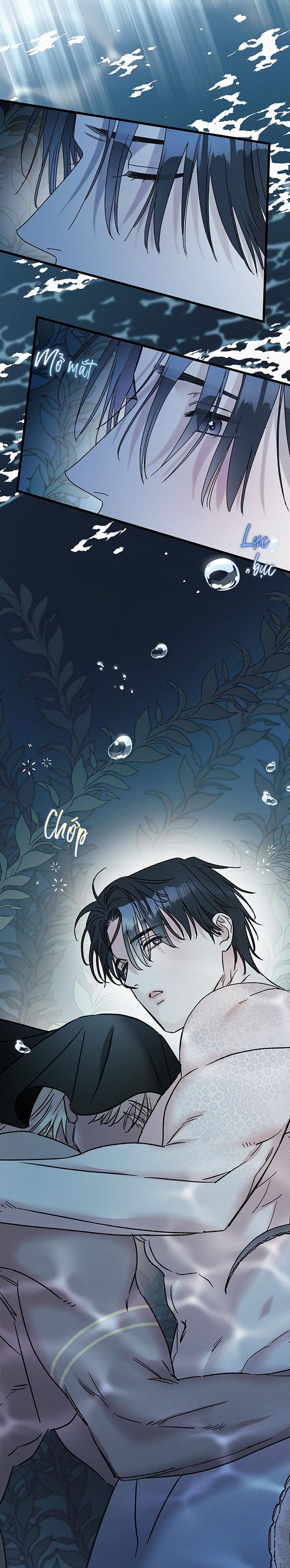 Mermaid's Cradle Chapter 11 - Next 