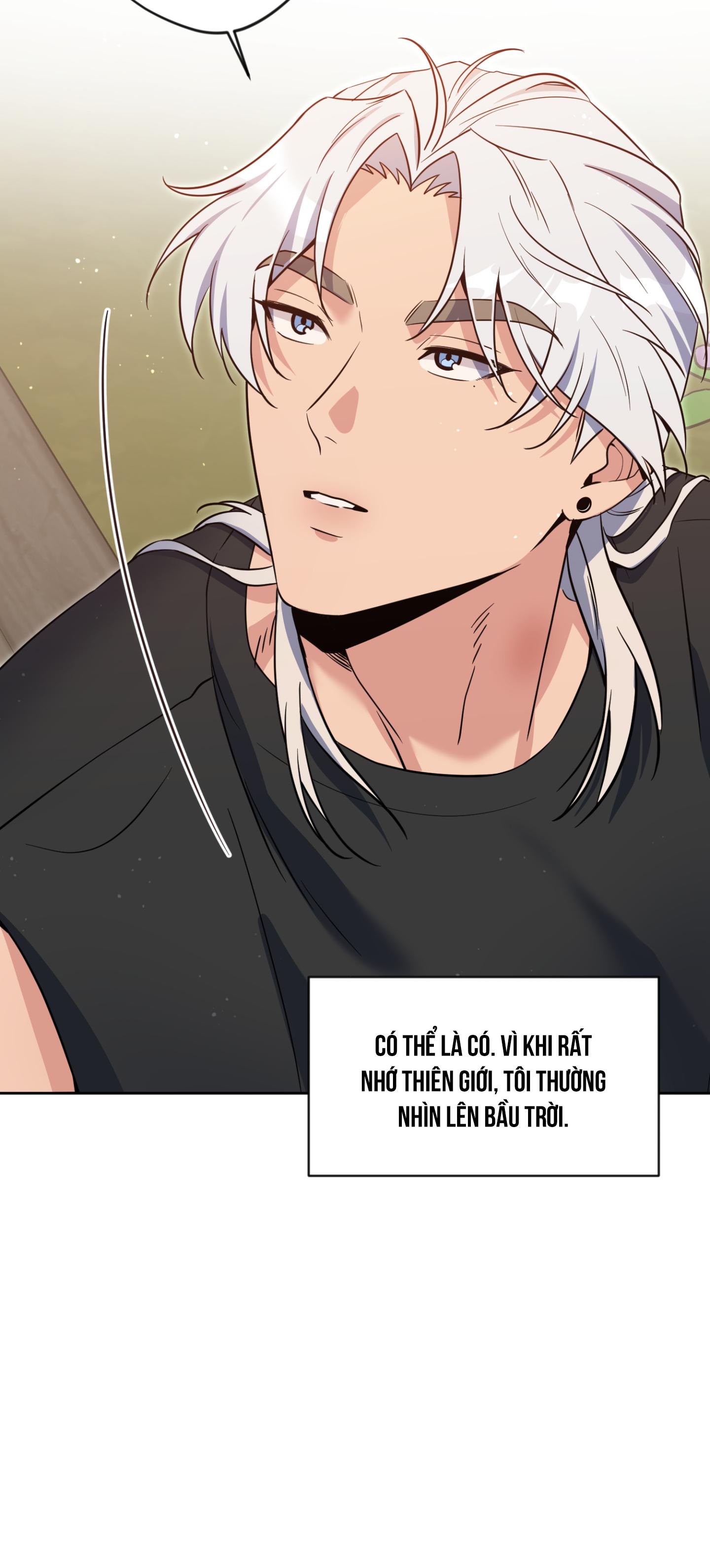 Angel kiss Chapter 49 - Next Chapter 50 End ss2
