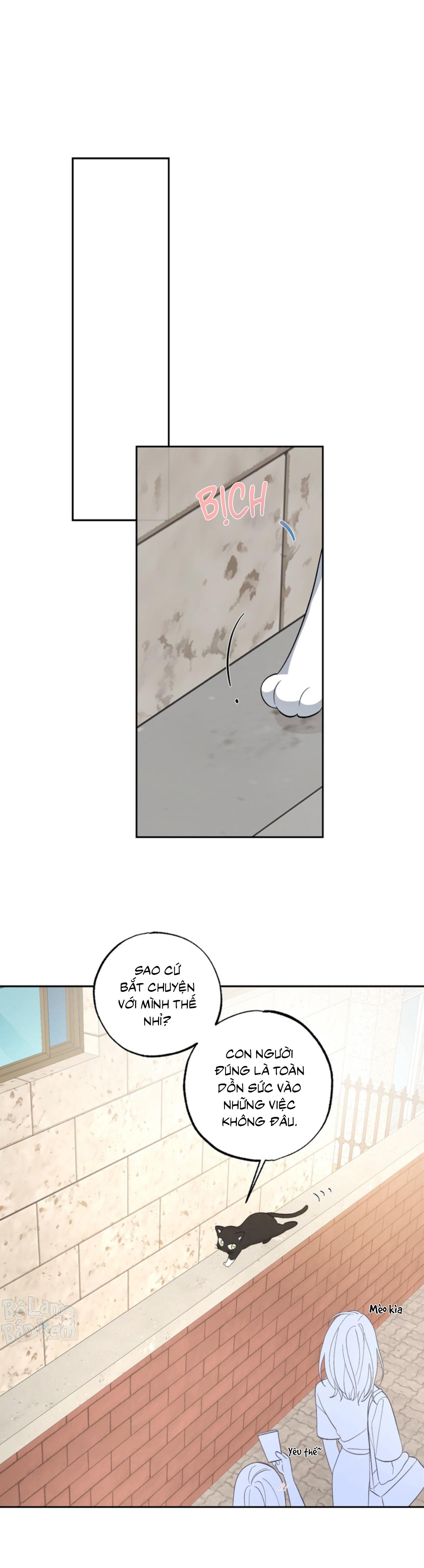 XIN HÃY YÊU THƯƠNG DÙ TÔI LÀ CHUỘT Chapter 5 - Trang 2