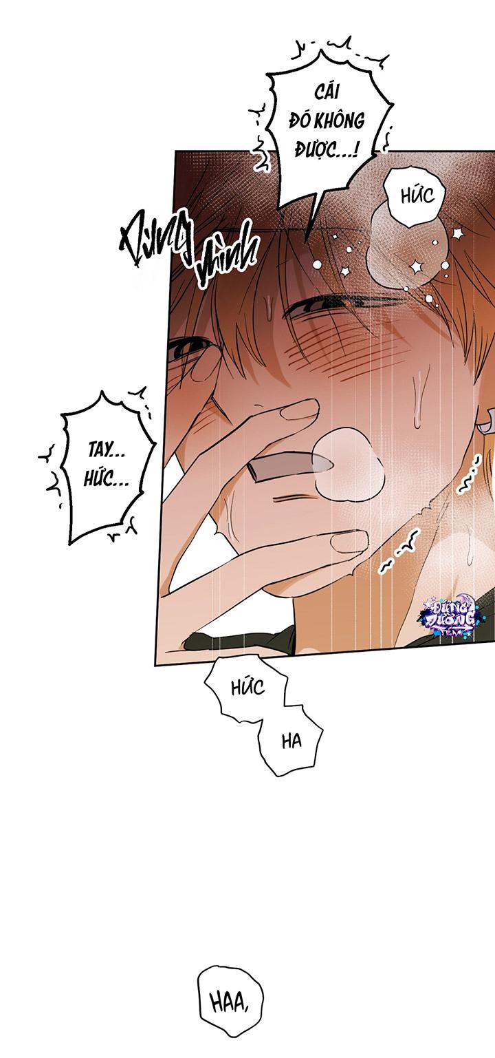 [DDT] Phiên Bản Hoàn Hảo Chapter 1 19+ - Next Chapter 2 19+