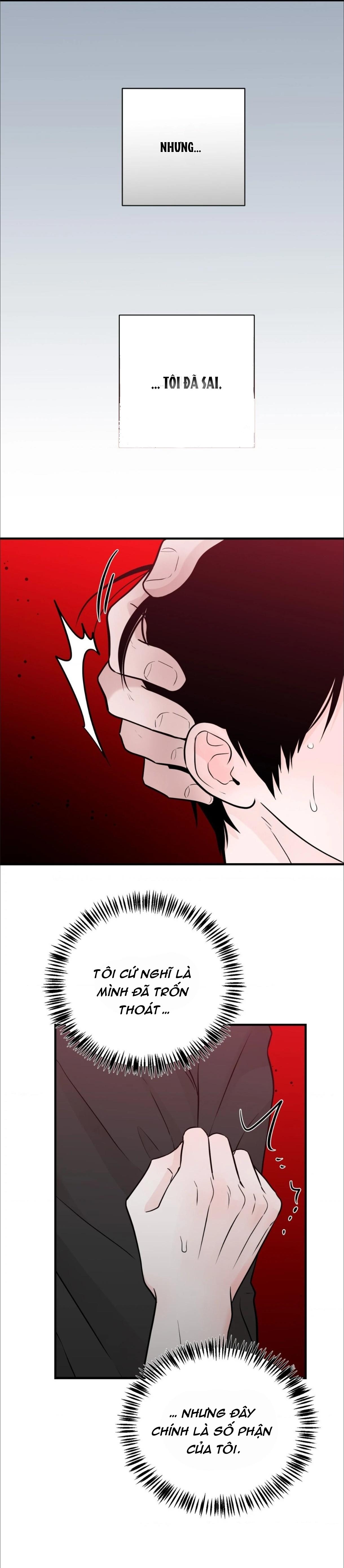 Mối Liên Kết Đáng Ngờ Chapter 4 - Trang 2