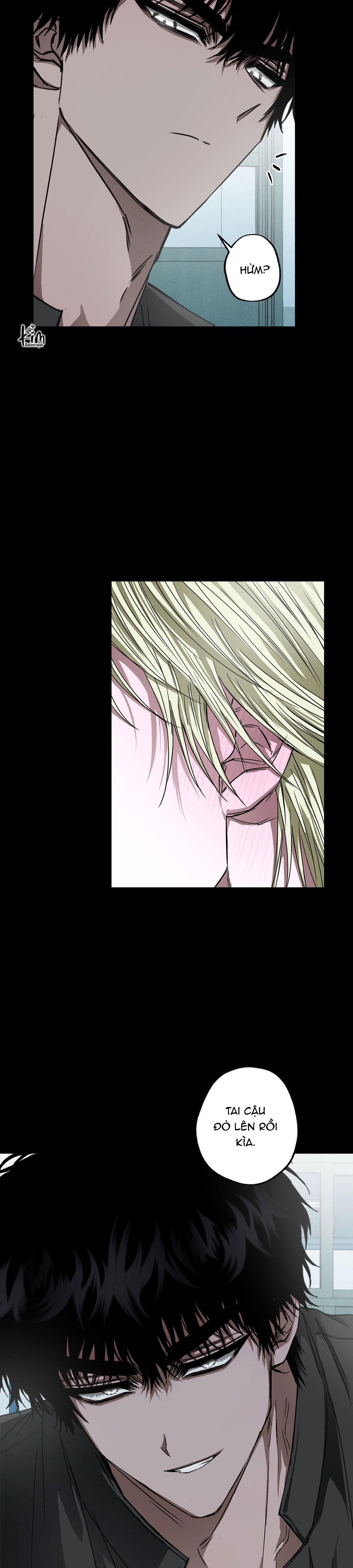 MẮT BÃO Chapter 12 - Next 
