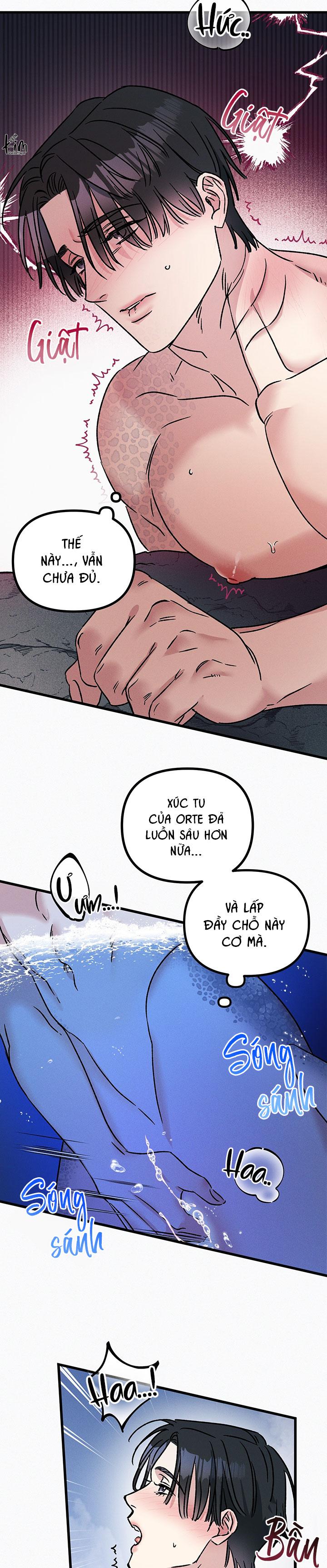 Mermaid's Cradle Chapter 5 - Next 