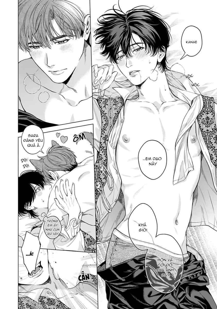 Viên Grarnet Trong Bóng Tối Chapter 6 - Next Chapter 7