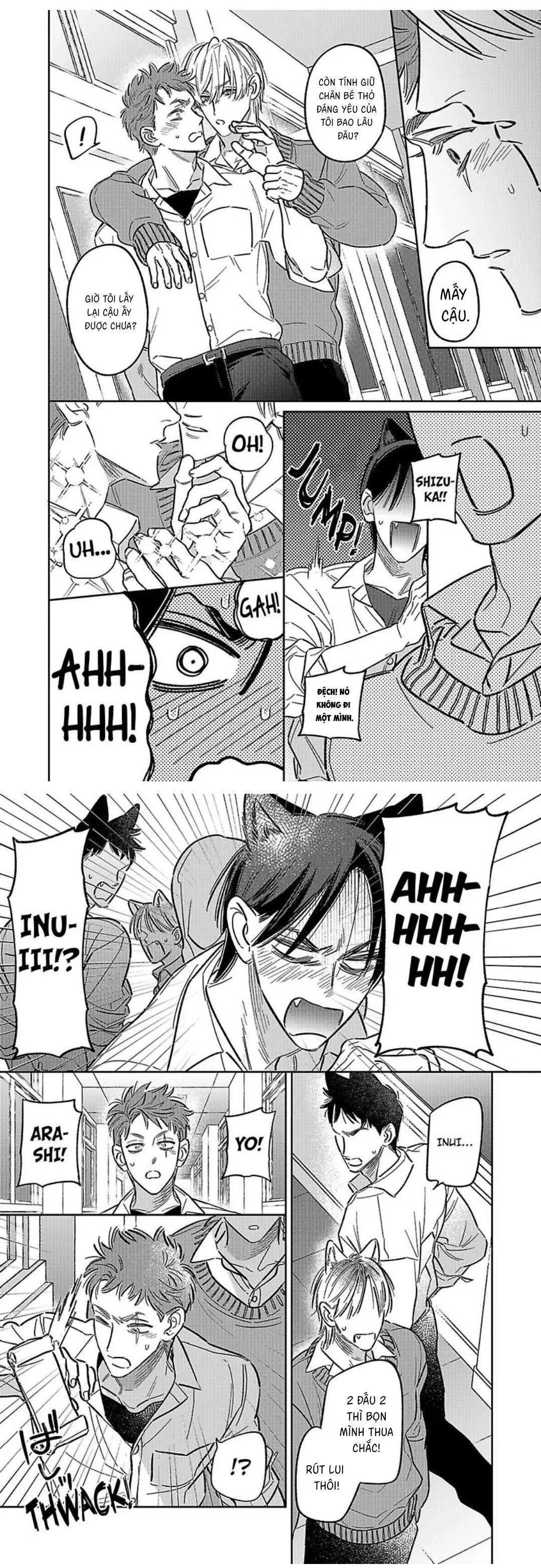 Chàng Thỏ Ngọt Ngào Chapter 4 Hachiennhom - Next 
