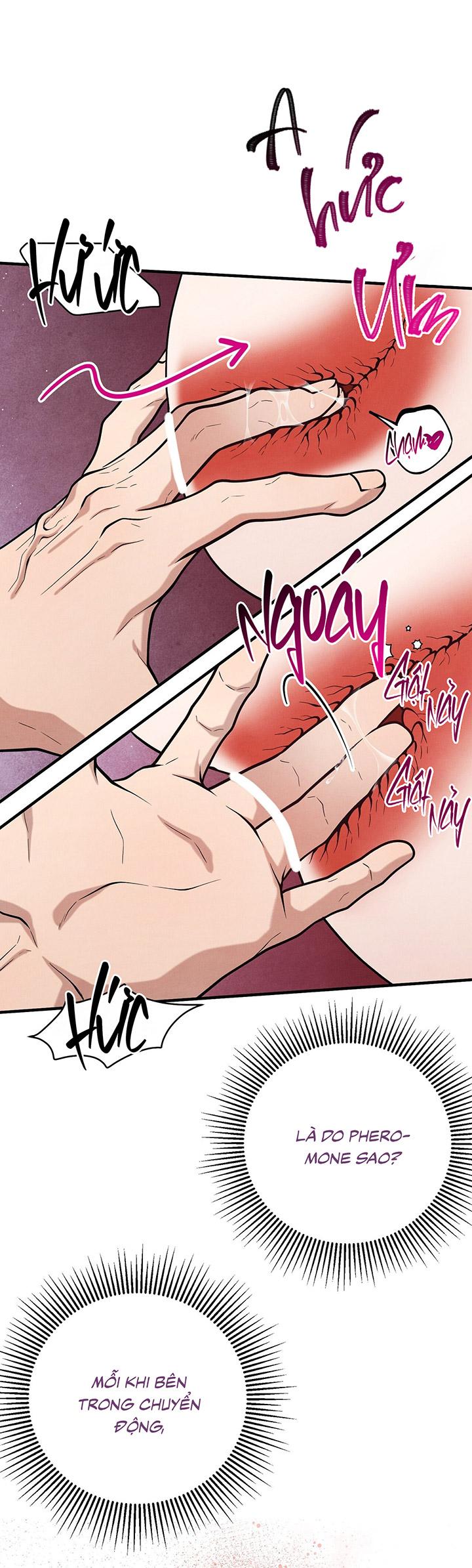 [DDT] HƯƠNG VỊ TÌNH THÂN Chapter 14 19+ - Trang 2