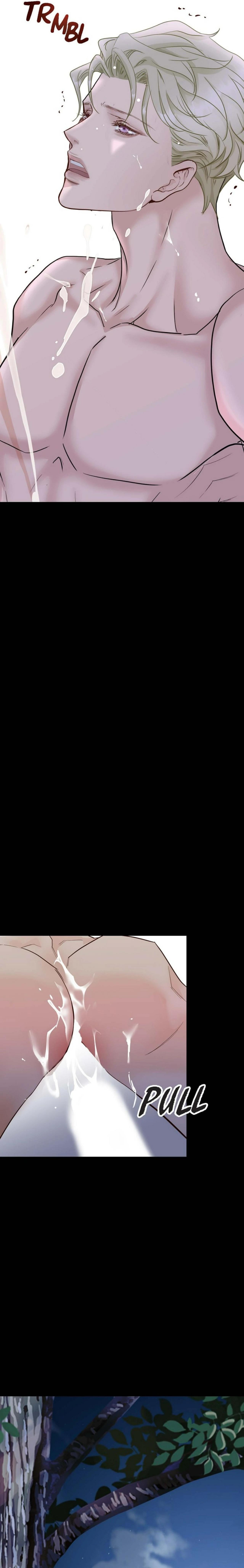 Hôn Thê Của Bóng Tối Chapter 17 Hachiennhom - Next Chapter 18 Hachiennhom