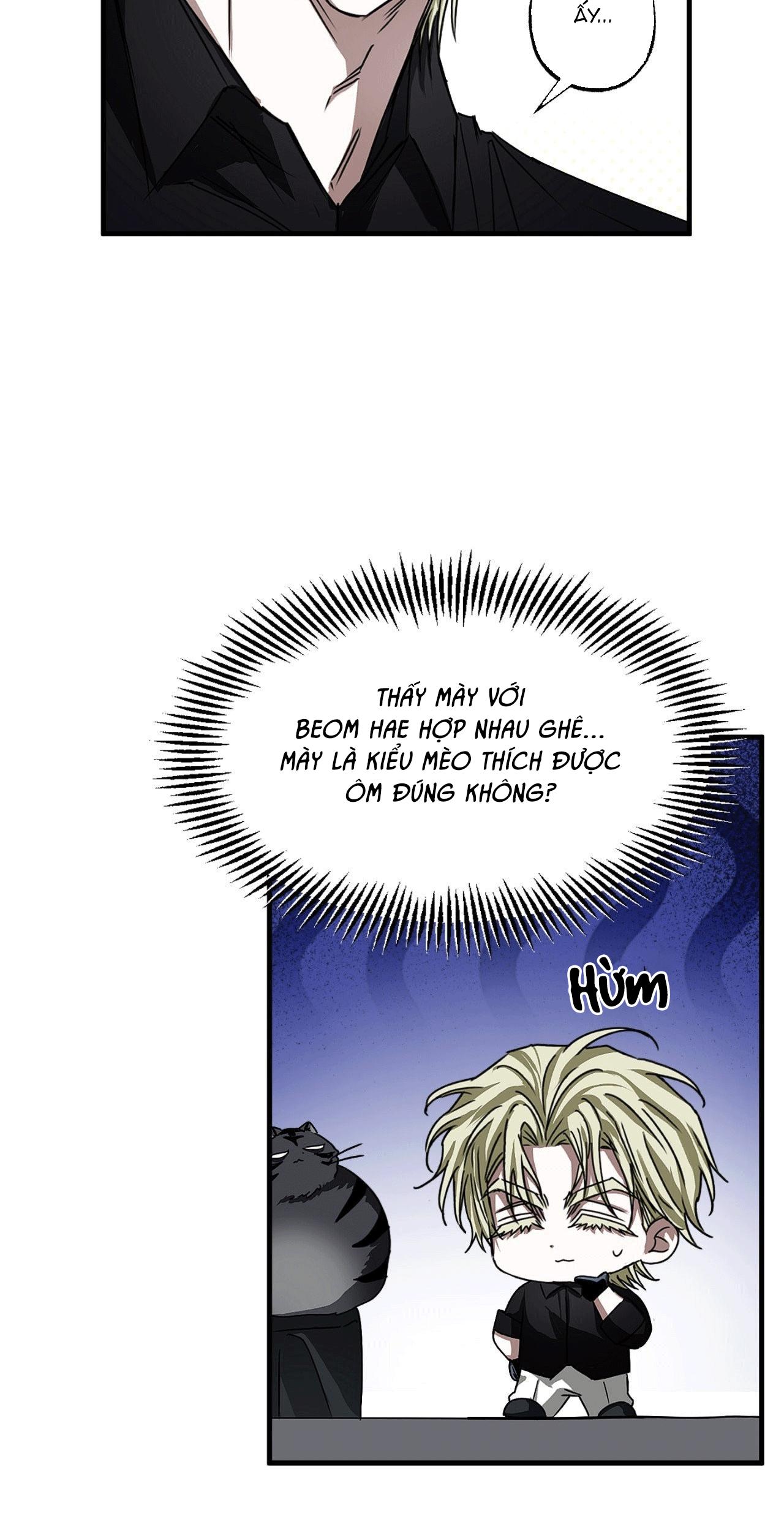 MẮT BÃO Chapter 14 - Next 
