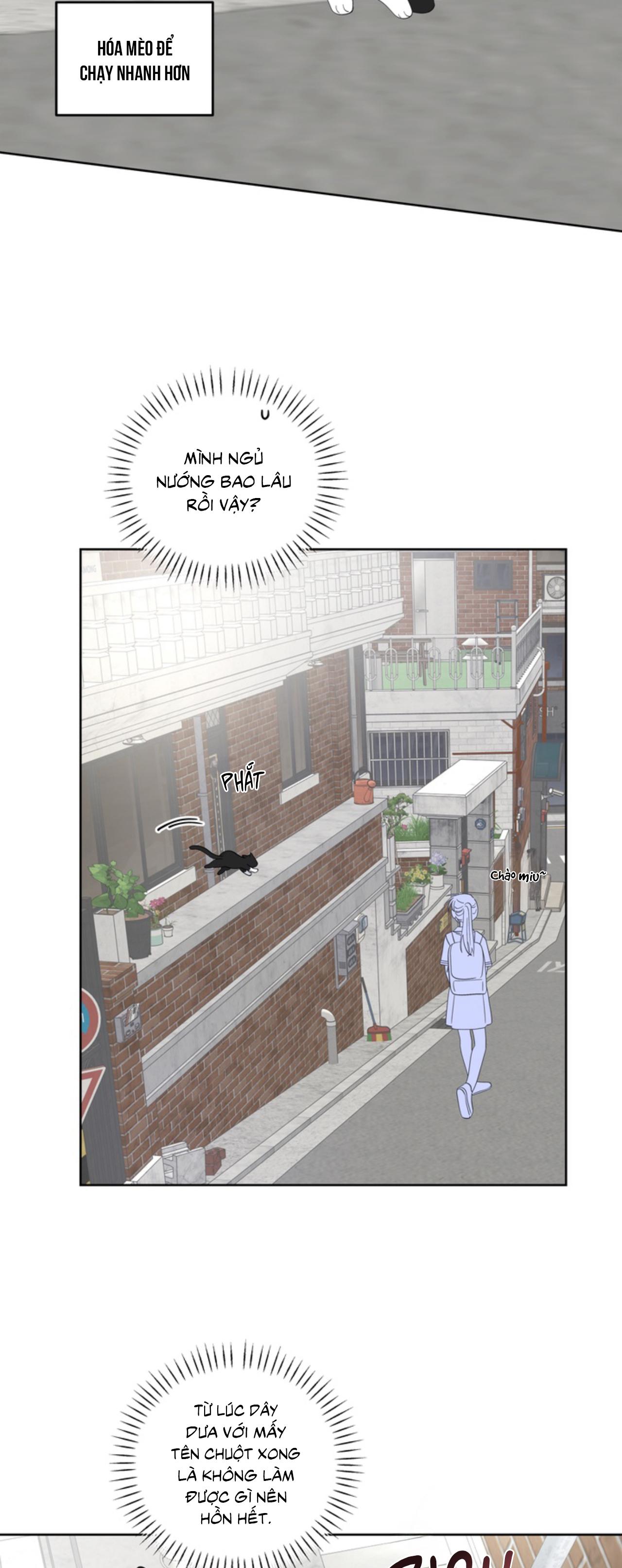 XIN HÃY YÊU THƯƠNG DÙ TÔI LÀ CHUỘT Chapter 6 - Trang 2
