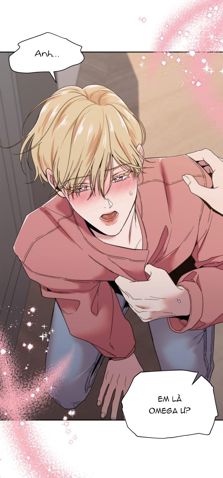 Người Hàng Xóm Bất Ngờ Chapter 1 - Next 