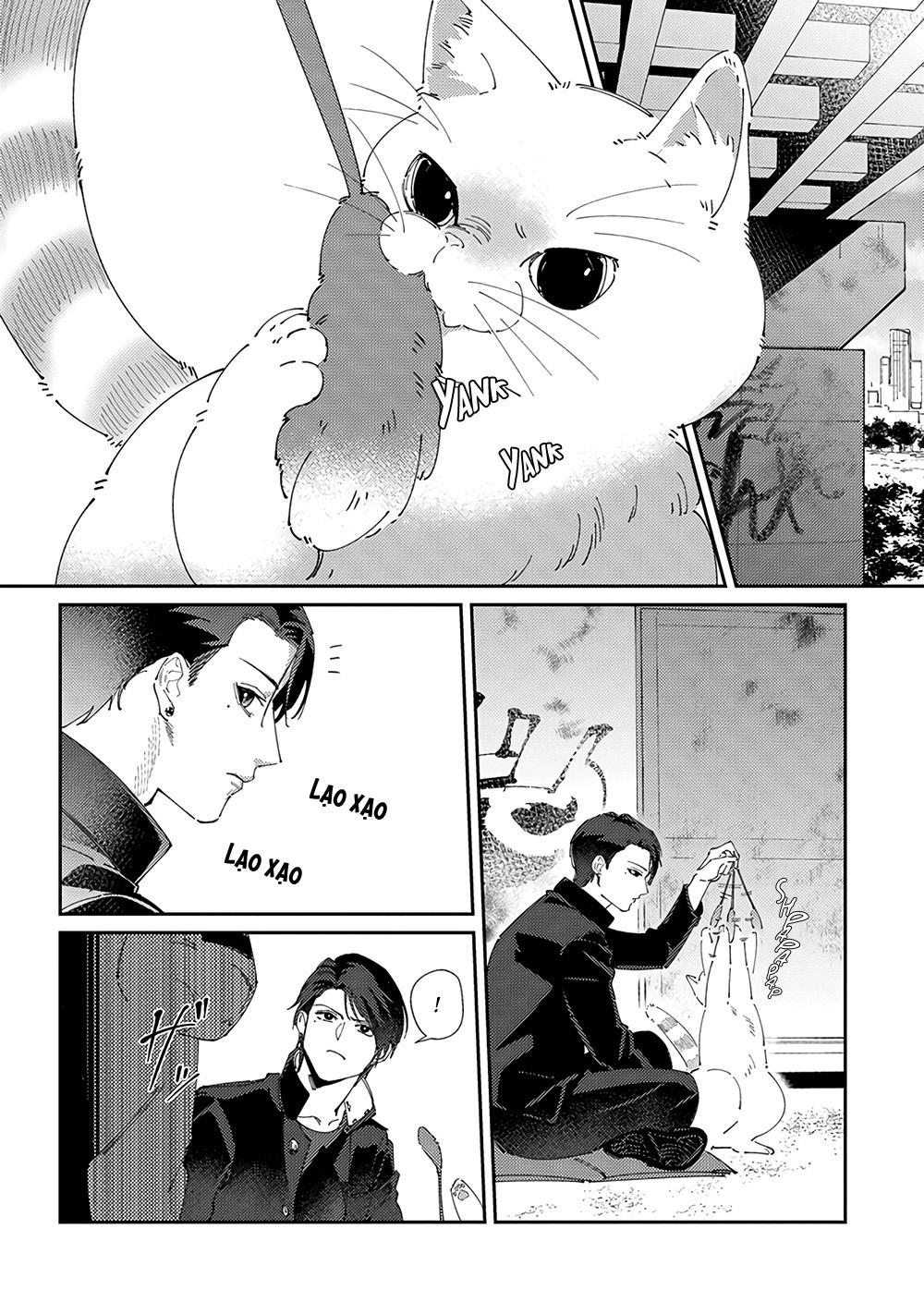 Chuyện Về Cặp Đôi Nhà Shima-chan Chapter 3 - Trang 2
