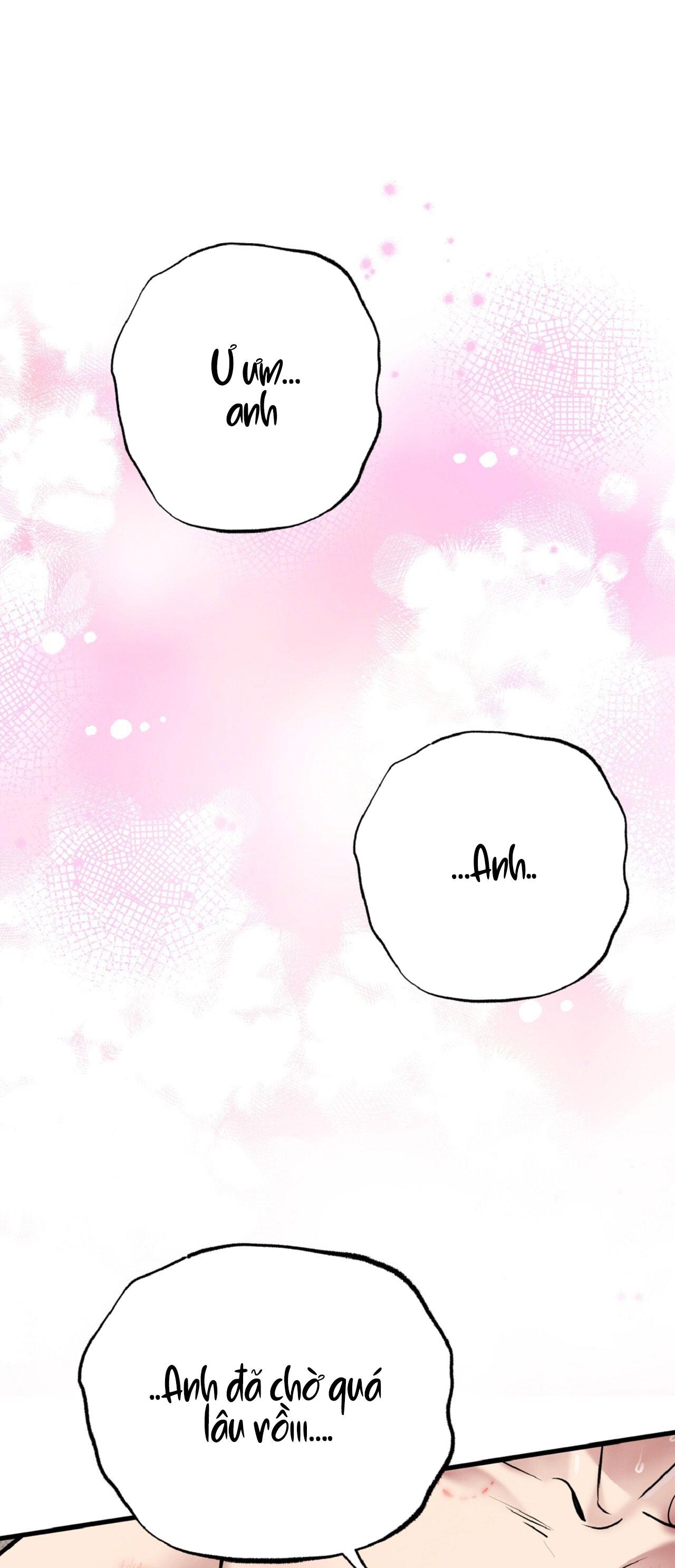 HONEY BEAR Chapter 66 - Next 
