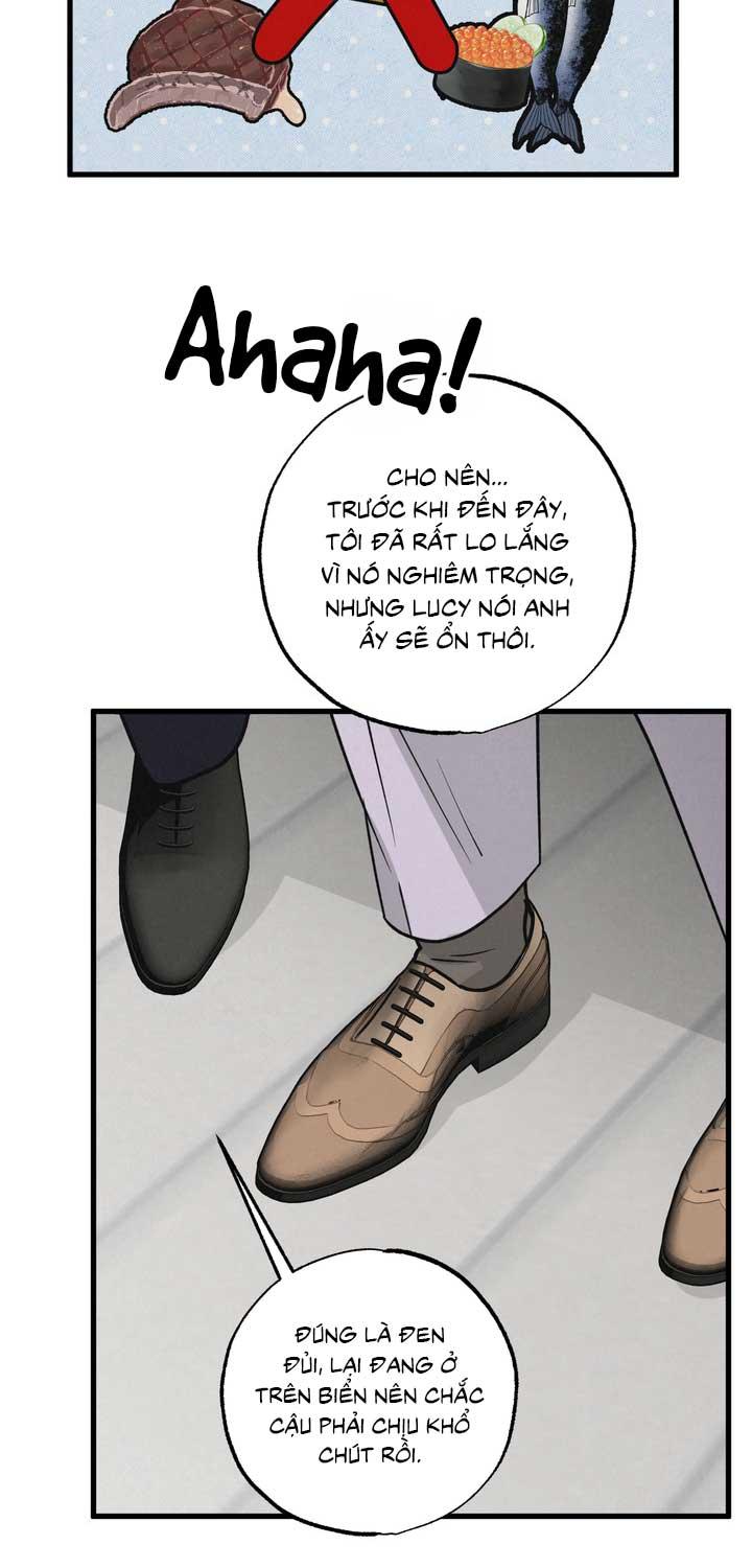 CẶP ĐÔI HOÀN HẢO Chapter 49 - Next Chapter 50