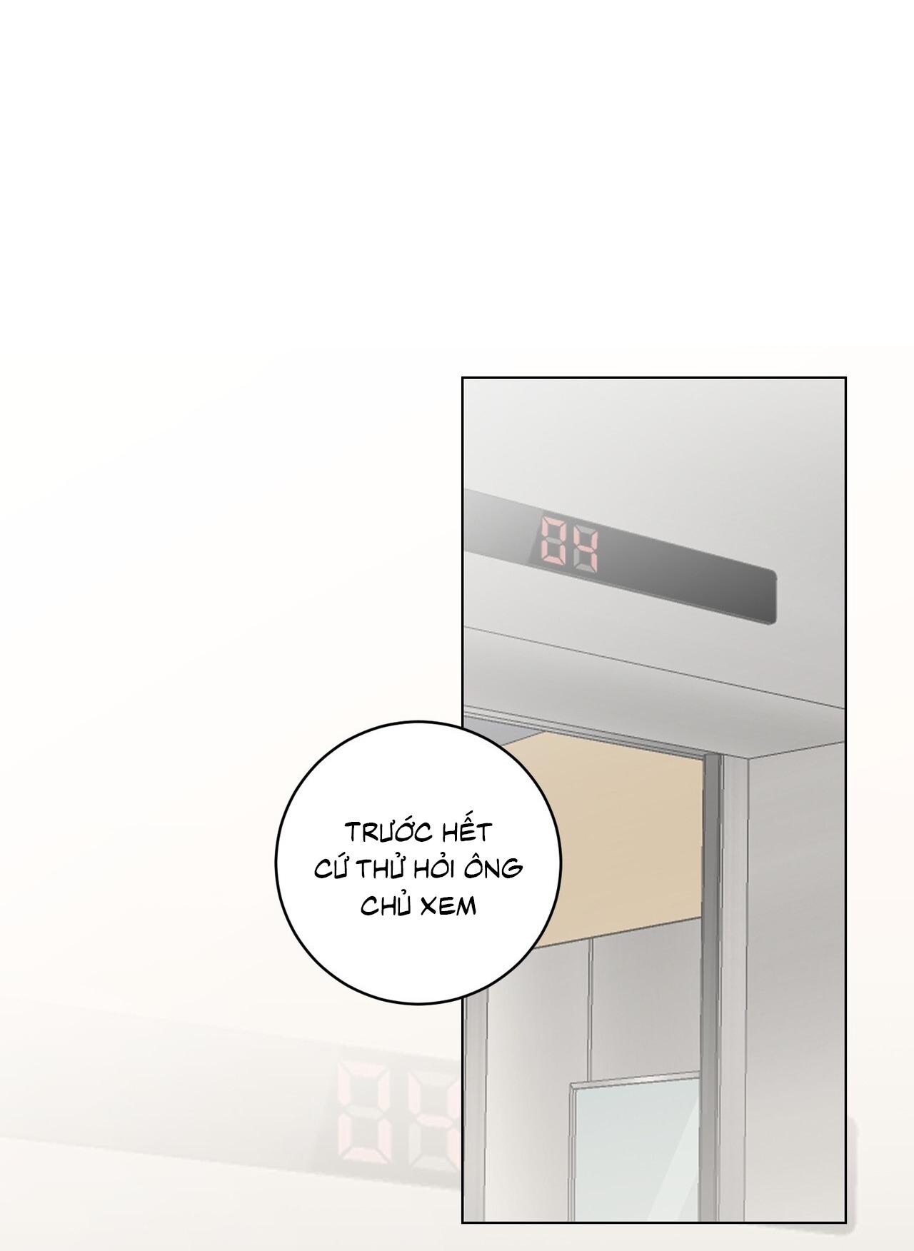 TÌNH YÊU KẸO BẠC HÀ Chapter 8 - Next 