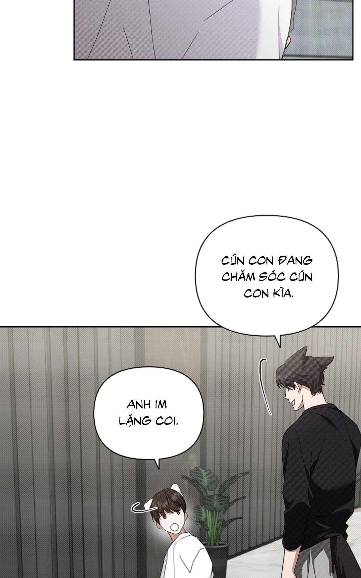 ĐỪNG ĐỘNG VÀO CÚN CON! Chapter 44.02 - Next 