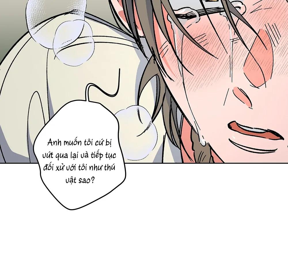 Kế Hoạch Trốn Thoát Chapter 6 - Next Chapter 7