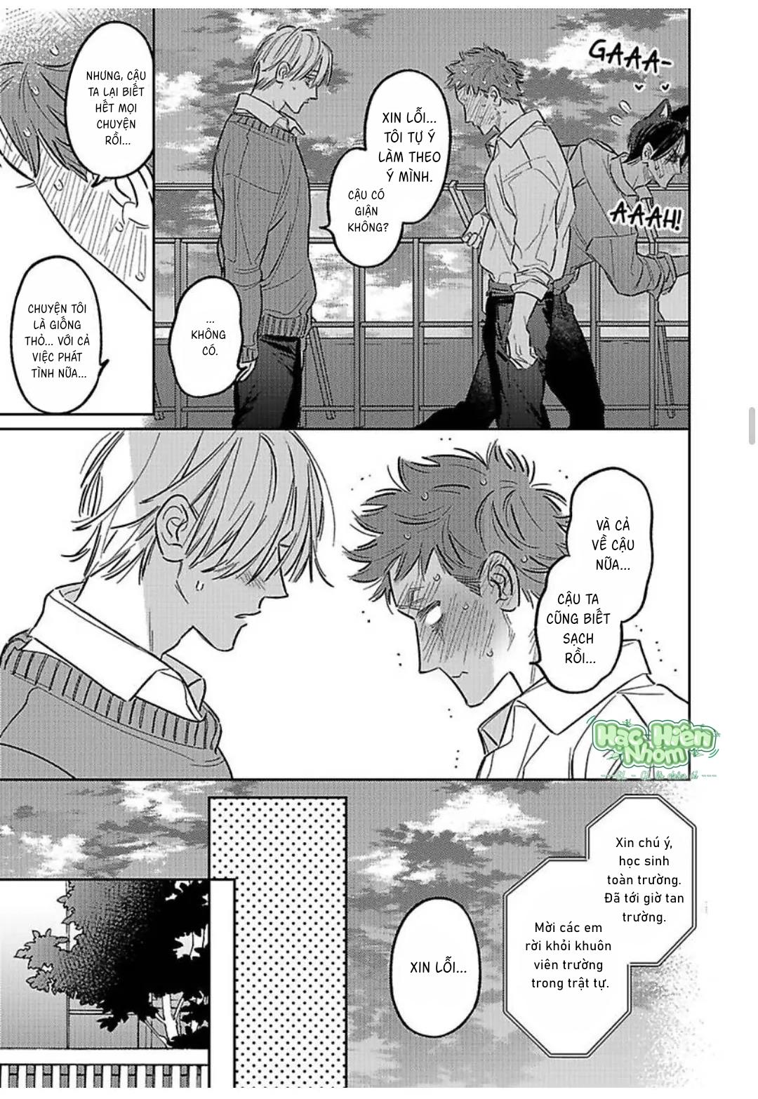 Chàng Thỏ Ngọt Ngào Chapter 4 Hachiennhom - Next 