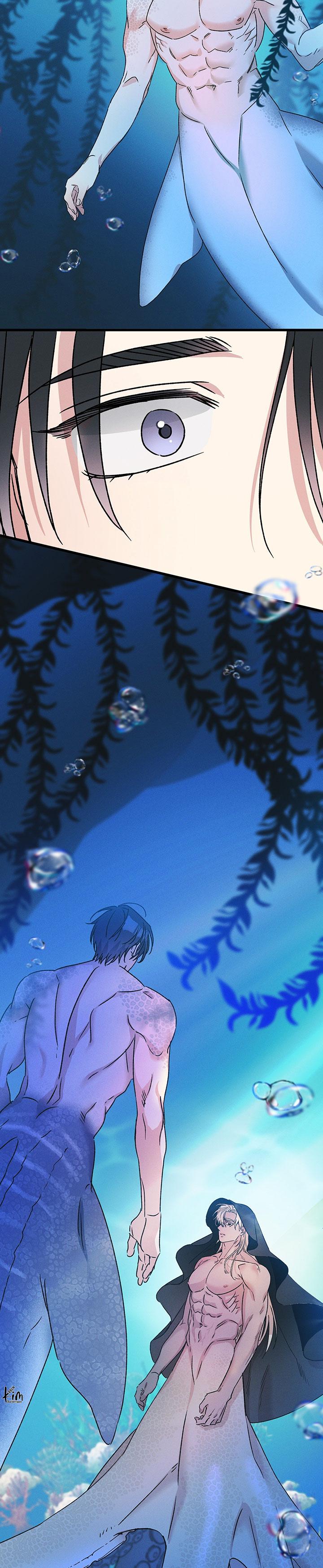 Mermaid's Cradle Chapter 2 - Next 