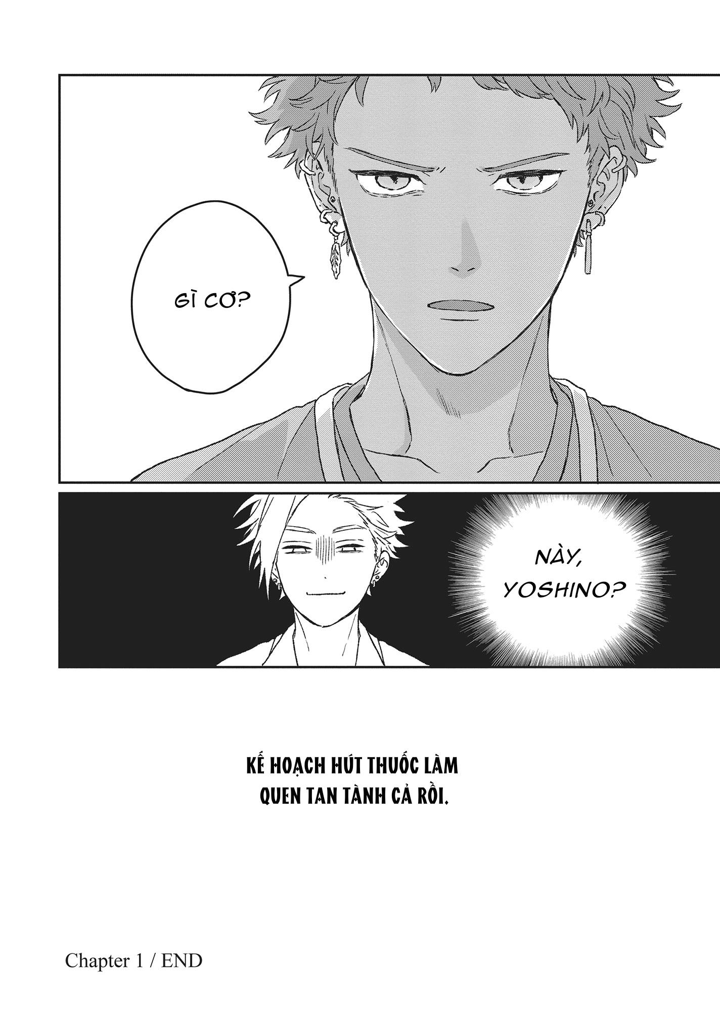 Tôi Đâu Định Yêu Cậu Chapter 6 - Trang 2