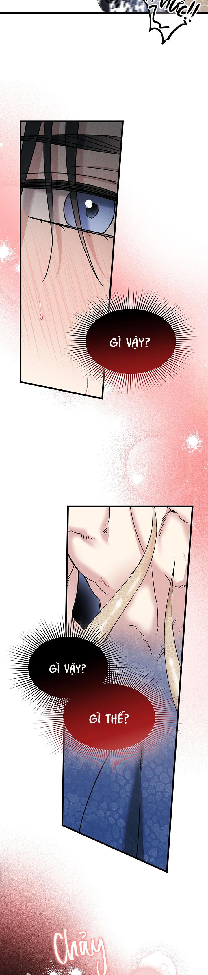 Mermaid's Cradle Chapter 2 - Next 