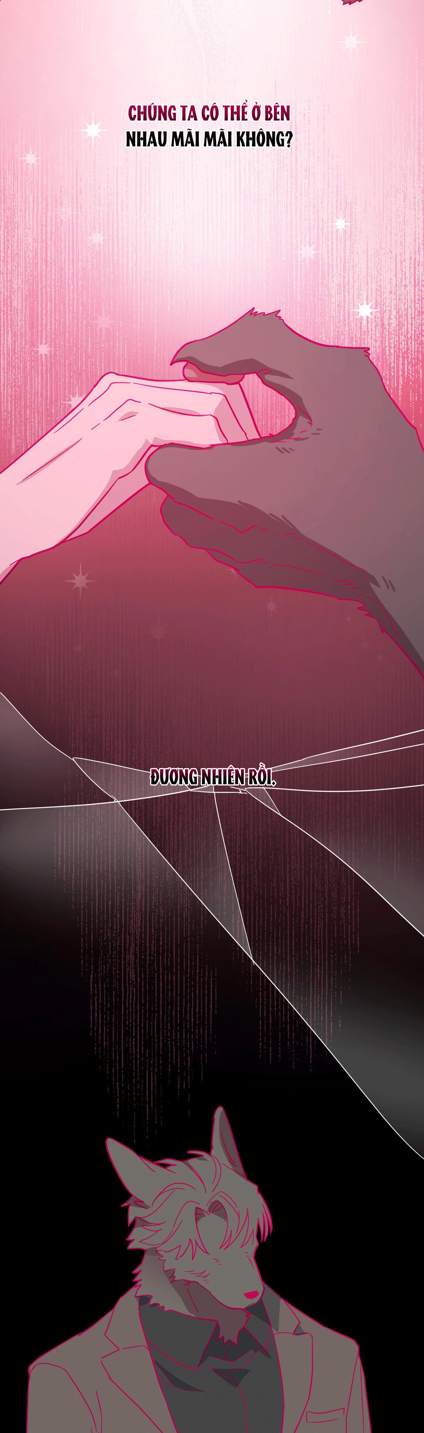 CHÚ ĐÃ BIẾT HẾT RỒI SAO ? Chapter 41 - Next 
